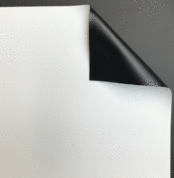 Cinopaque_HC